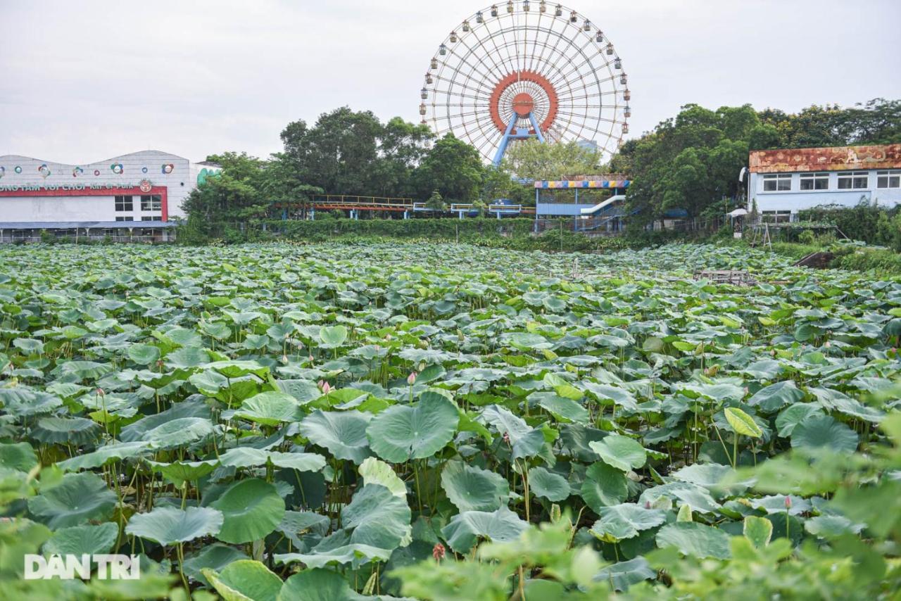 Best Price Ho Guom Apartments For Long Stay Hanoi Luaran gambar